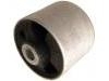 悬架衬套 Control Arm Bushing:RGX 500201